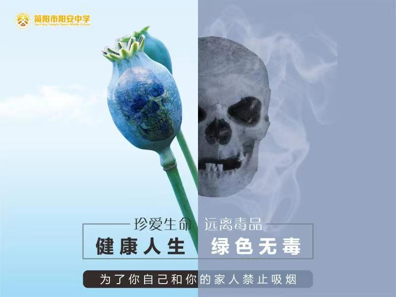 一朵花的故事